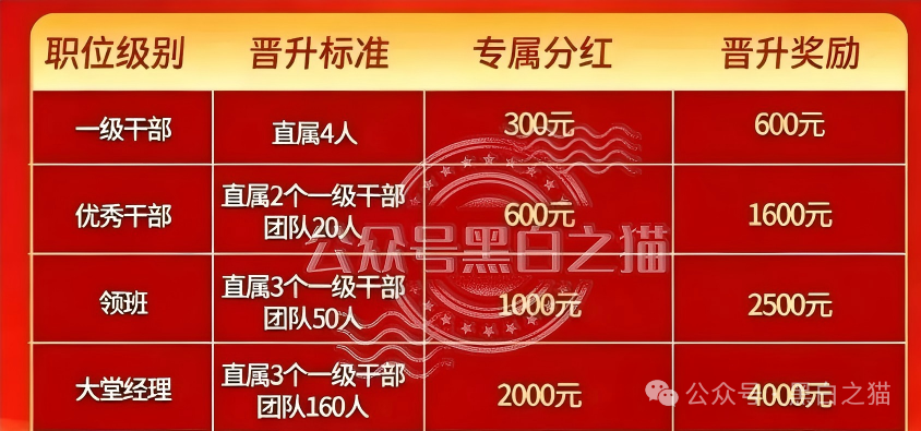 起底“东方百优”幕后总指挥莎某｜混迹盘圈5年，从DMM到时尚生活，她转移了多少团队？(2)