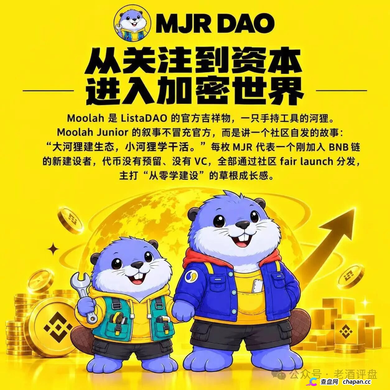 紧急预警！MJR底牌曝光：顶着“社区公平发射”的头衔，干着无锁仓全流通的割韭菜勾当！